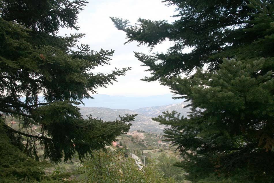 Pigi Tarlampa Hotel Ano Trikala Exteriör bild